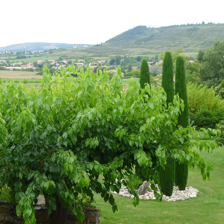 Domaine De La Manse Hotel Villeneuve-de-Berg Luaran gambar