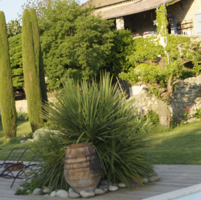 Domaine De La Manse Hotel Villeneuve-de-Berg Luaran gambar