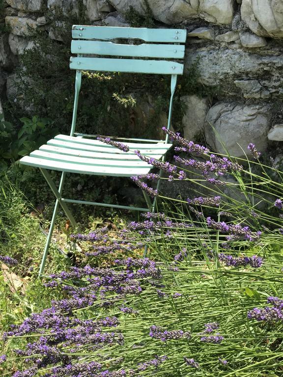 Domaine De La Manse Hotel Villeneuve-de-Berg Luaran gambar